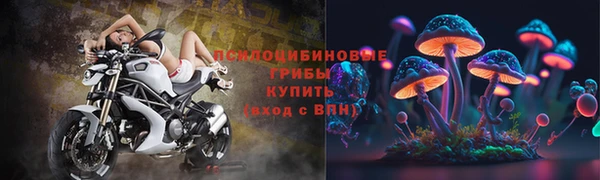 прущая мука Арсеньев