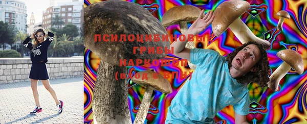 прущая мука Арсеньев
