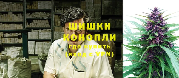 ешки Аркадак