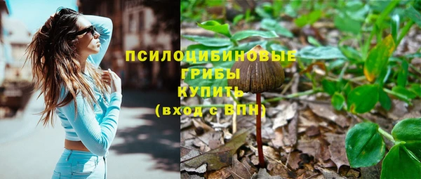 прущая мука Арсеньев