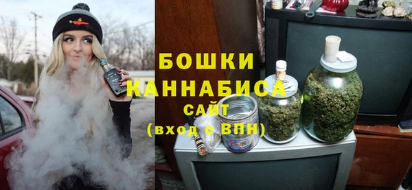ешки Аркадак