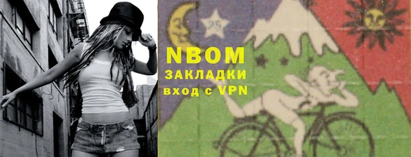 ешки Аркадак